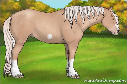Horse Color:Silver Classic Champagne Splash Frame