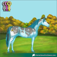 Horse Color:Thunderstruck White Spotted Grullo Splash Tobiano 