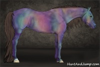 Horse Color:Classic Champagne Rabicano 
