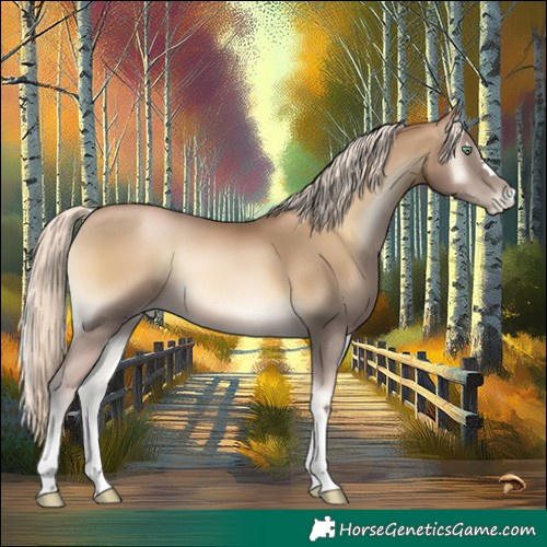 Horse Color:Chocolate Palomino Pearl Onyx Mushroom 