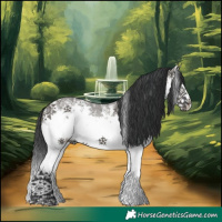 Horse Color:White Spotted Grullo Sabino Splash 
