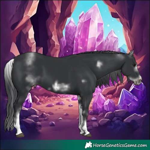 Horse Color:White Spotted Black Sabino Frame 