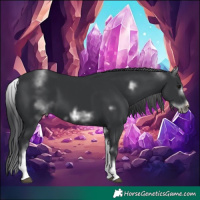 Horse Color:White Spotted Black Sabino Frame 