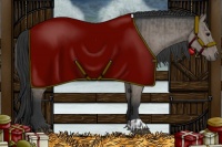 Horse Color:Grullo  and Grullo 