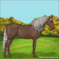 Horse Color:Silver Black 