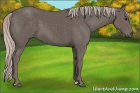 Horse Color:Silver Black 