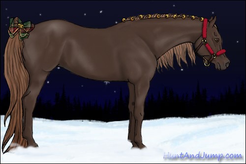 Horse Color:Liver Chestnut Rabicano