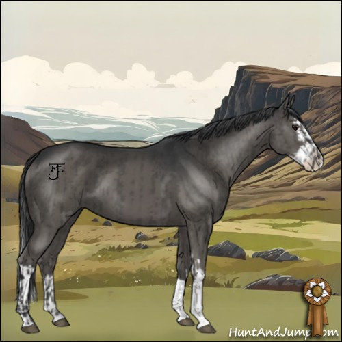 Horse Color:Grullo  and Grullo Splash 