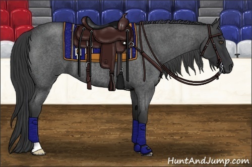 Horse Color:Blue Roan Frame 