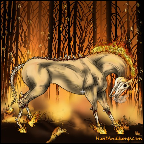 Horse Color:Palomino 