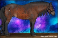 Horse Color:Black and Brown