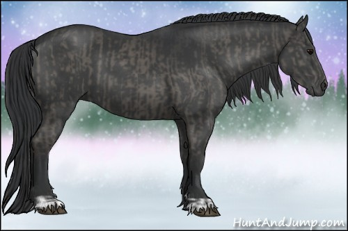 Horse Color:Grullo  and Grullo 
