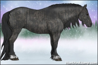 Horse Color:Grullo and Grullo
