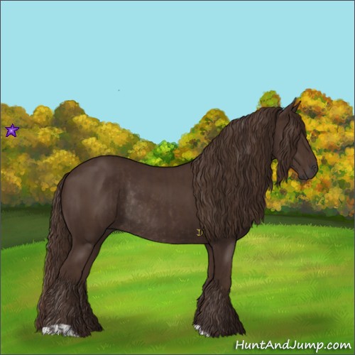 Horse Color:Liver Chestnut  and Liver Chestnut Rabicano 