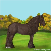 Horse Color:Liver Chestnut  and Liver Chestnut Rabicano 
