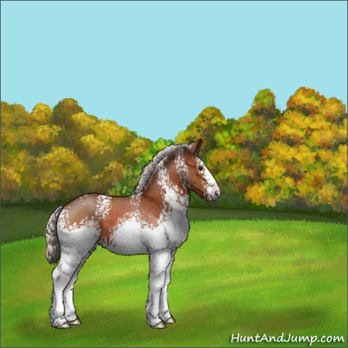 Horse Color:White Spotted Silver Brown Sabino 