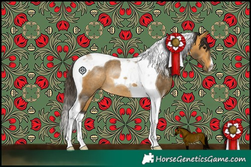 Horse Color:Buckskin Tobiano Rabicano