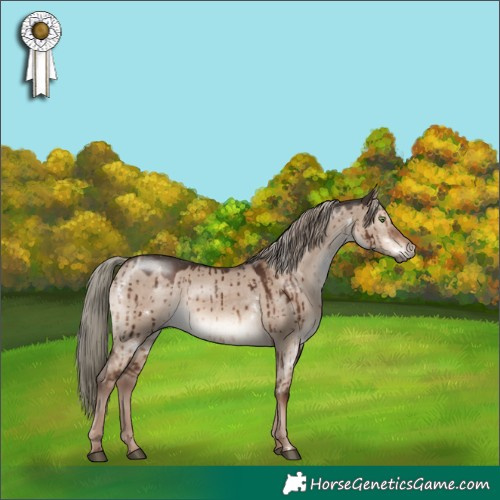 Horse Color:White Spotted Liver Red Dun Mushroom Rabicano Brindle