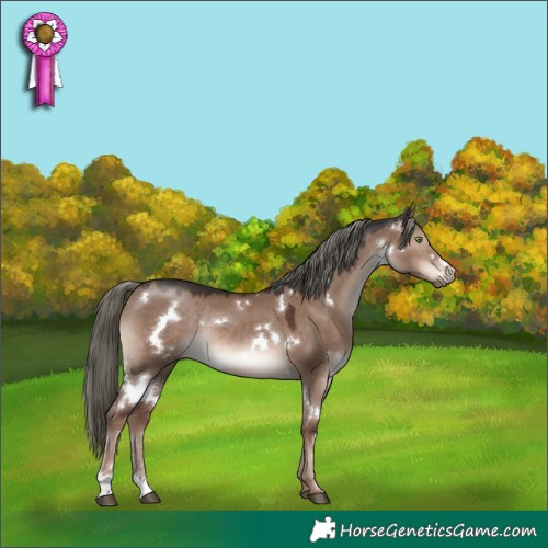 Horse Color:White Spotted Liver Red Dun Mushroom Rabicano 