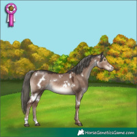 Horse Color:White Spotted Liver Red Dun Mushroom Rabicano 