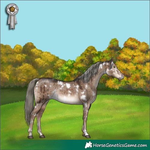 Horse Color:White Spotted Liver Red Dun Mushroom Rabicano Brindle