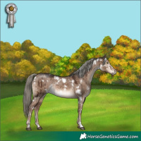 Horse Color:White Spotted Liver Red Dun Mushroom Rabicano Brindle 