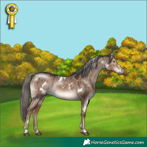 Horse Color:White Spotted Liver Red Dun Mushroom Rabicano Brindle 