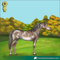 Horse Color:White Spotted Liver Red Dun Mushroom Rabicano Brindle 