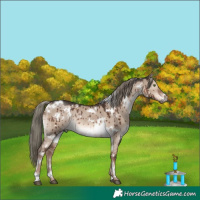 Horse Color:White Spotted Liver Red Dun Mushroom Rabicano Brindle 