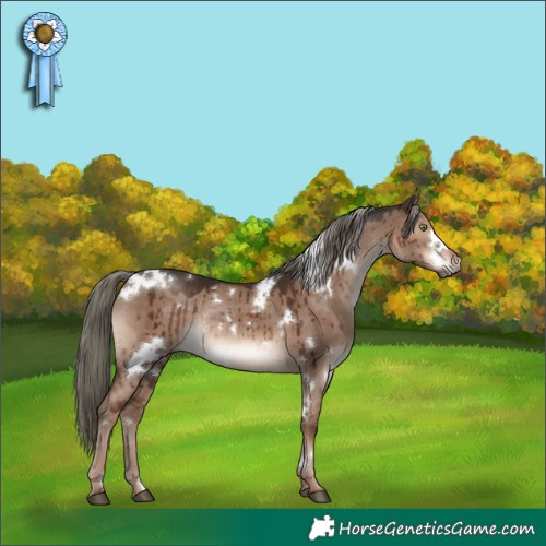 Horse Color:White Spotted Liver Red Dun Mushroom Rabicano Brindle