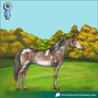 Horse Color:White Spotted Liver Red Dun Mushroom Rabicano Brindle