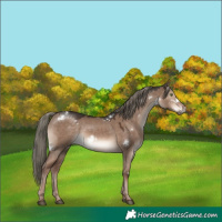 Horse Color:White Spotted Liver Red Dun Mushroom Rabicano 