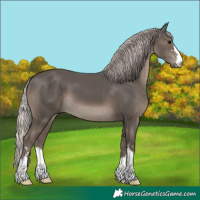 Horse Color:Silver Black