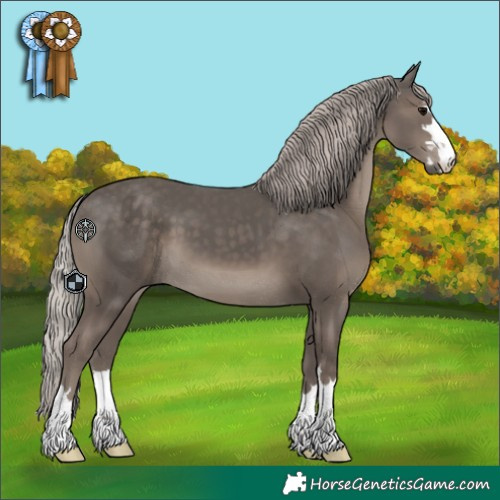 Horse Color:Silver Black 