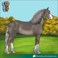 Horse Color:Silver Black 