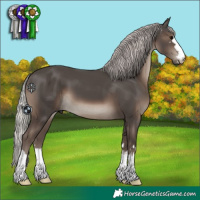 Horse Color:Silver Black 