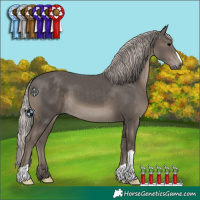 Horse Color:Silver Black 