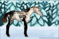 Horse Color:Void Sable Champagne Pearl Onyx Tobiano