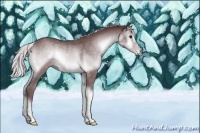 Horse Color:Chocolate Silver Blue Onyx Chinchilla 