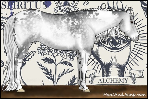 Horse Color:Silver Blue Onyx Chinchilla Tobiano 