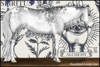 Horse Color:Silver Blue Onyx Chinchilla Tobiano 