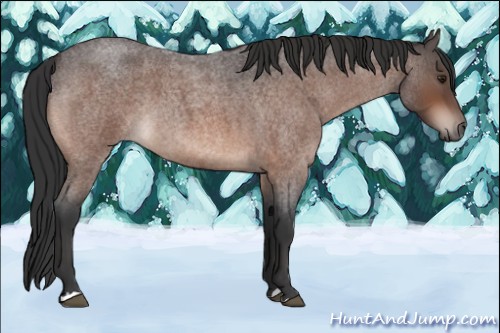 Horse Color:Brown Roan Mushroom 