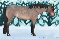 Horse Color:Brown Roan Mushroom 