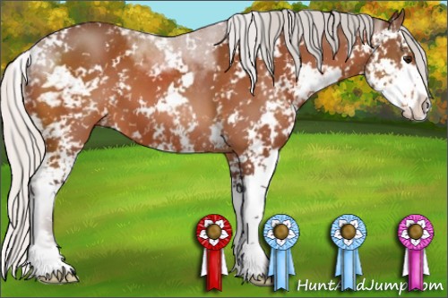 Horse Color:Silver Bay Sabino 