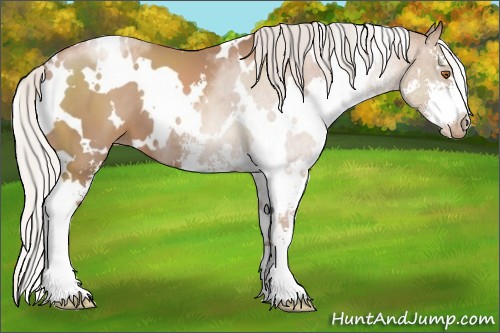 Horse Color:White Spotted Silver Black Pearl Sabino