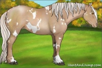 Horse Color:White Spotted Silver Black Pearl Sabino 
