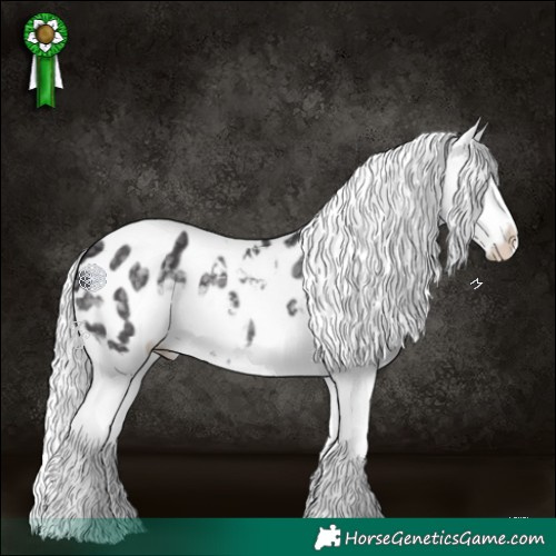 Horse Color:Silver Smoky Black Chinchilla Blanket Rabicano 