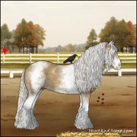Horse Color:White Spotted Silver Smoky Black