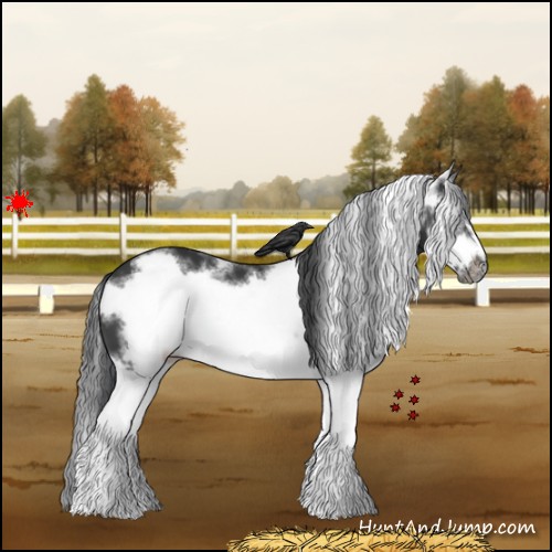 Horse Color:White Spotted Black Splash Frame 