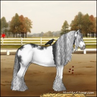 Horse Color:White Spotted Black Splash Frame 